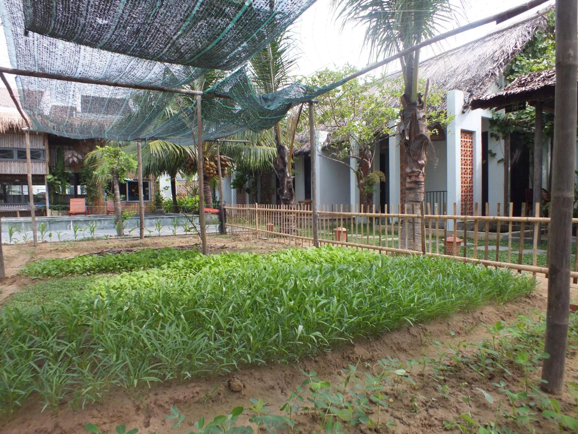 Home Farm Villa Hội An Ngoại thất bức ảnh