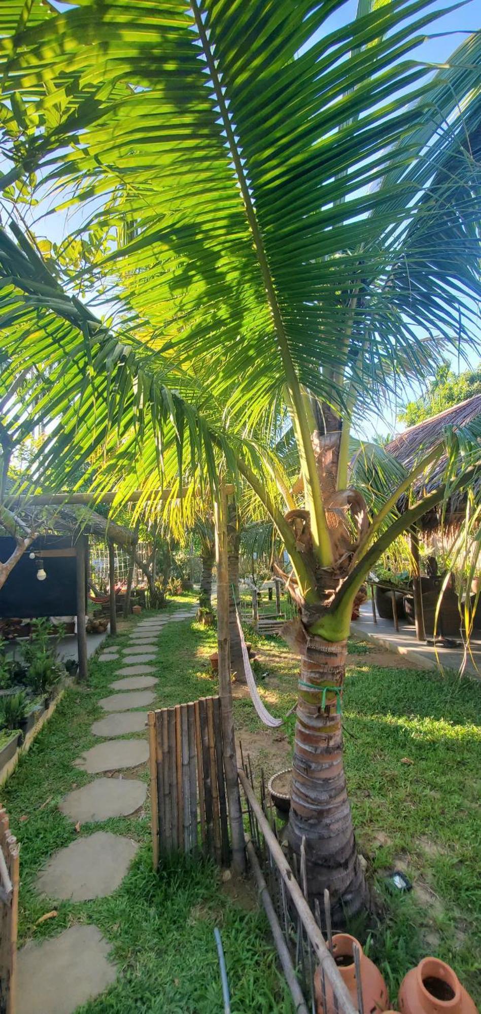 Home Farm Villa Hội An Ngoại thất bức ảnh