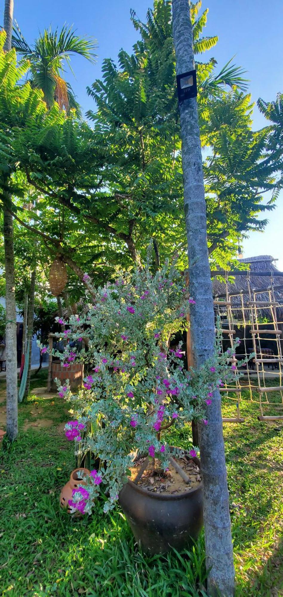 Home Farm Villa Hội An Ngoại thất bức ảnh
