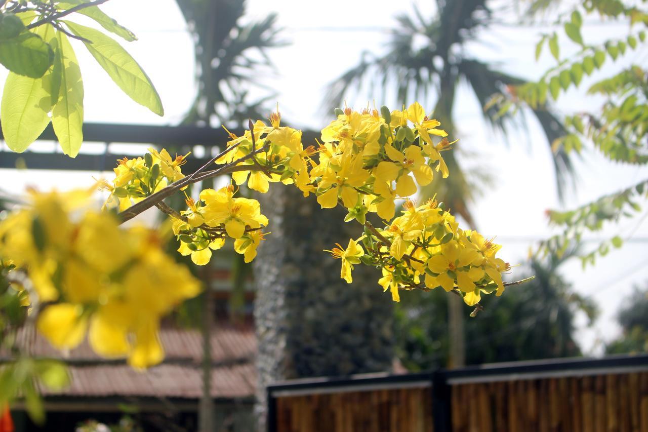 Home Farm Villa Hội An Ngoại thất bức ảnh