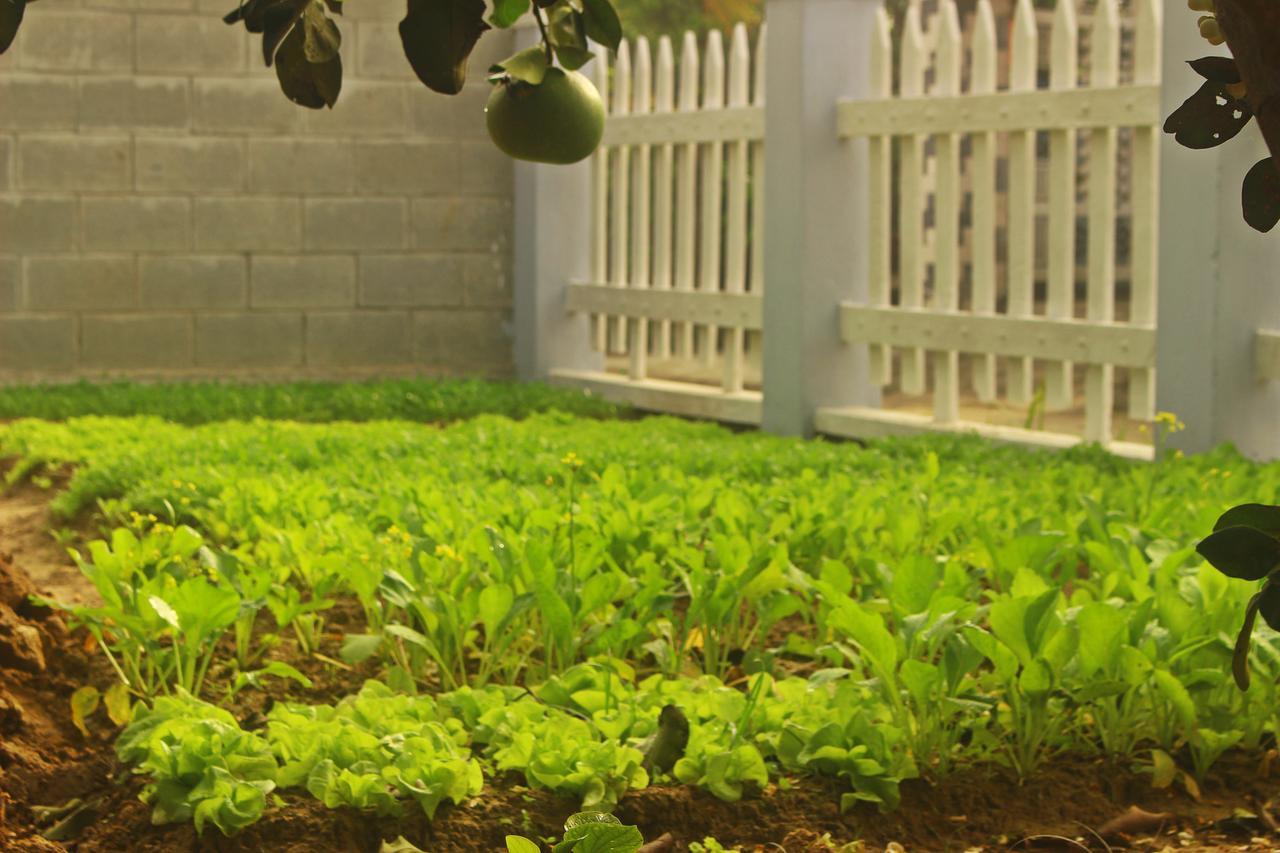 Home Farm Villa Hội An Ngoại thất bức ảnh